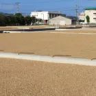 土地探し